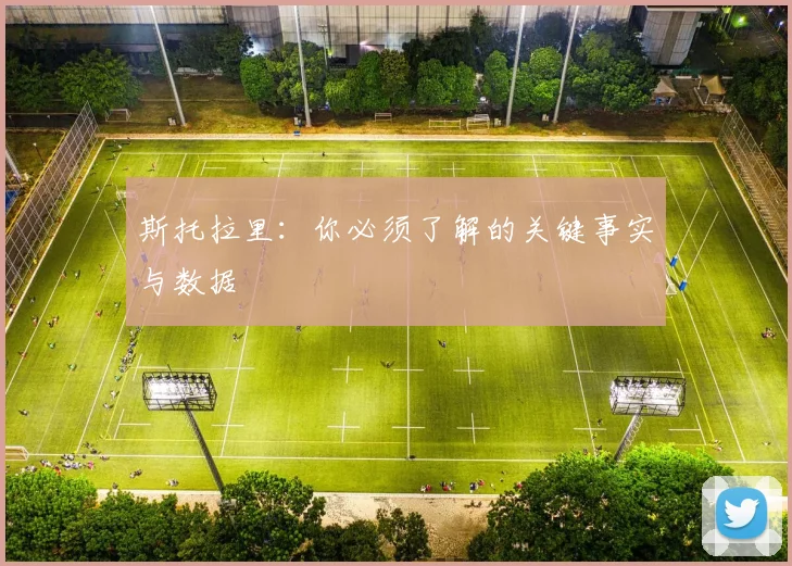 斯托拉里：你必须了解的关键事实与数据