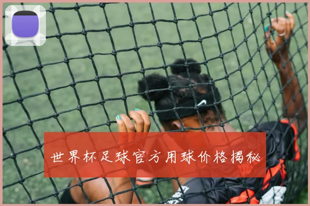 世界杯足球官方用球价格揭秘