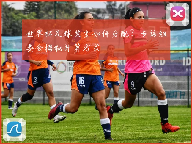 世界杯足球奖金如何分配？专访组委会揭秘计算方式