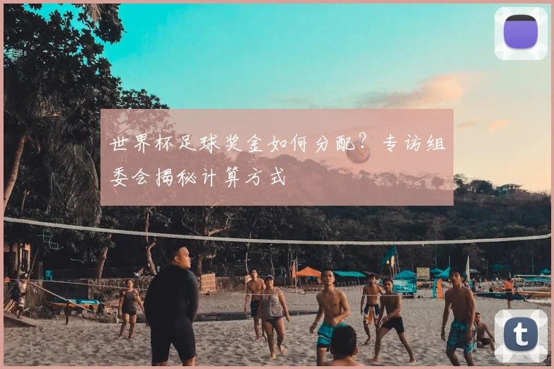 世界杯足球奖金如何分配？专访组委会揭秘计算方式