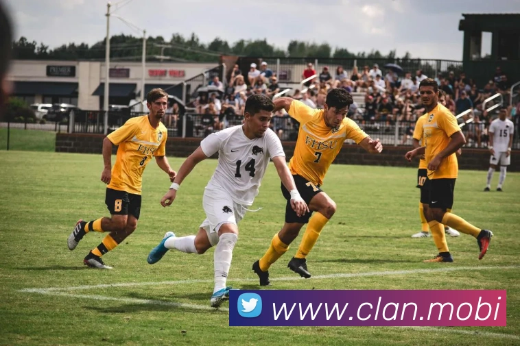 奖项证书